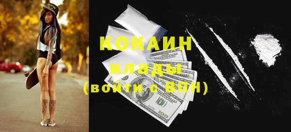 прущая мука Арсеньев
