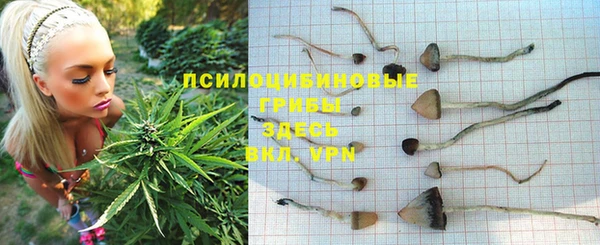 ГАЛЛЮЦИНОГЕННЫЕ ГРИБЫ Алексеевка