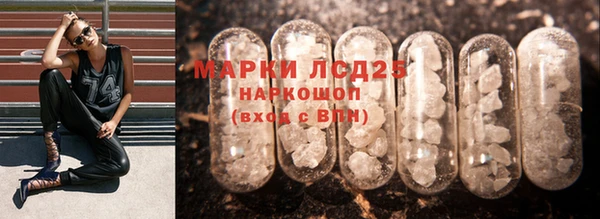 спайс Аркадак